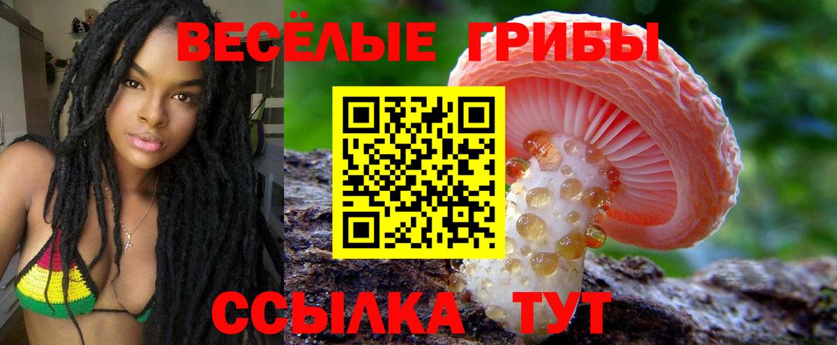 Бугуруслан  Галлюциногенные грибы ЛСД  закладка  Вход с VPN 