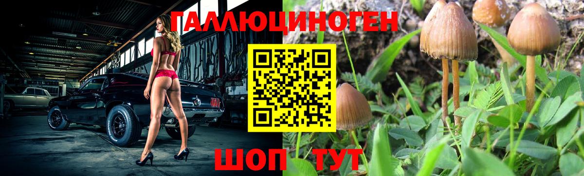 Галлюциногенные грибы мицелий Бугуруслан